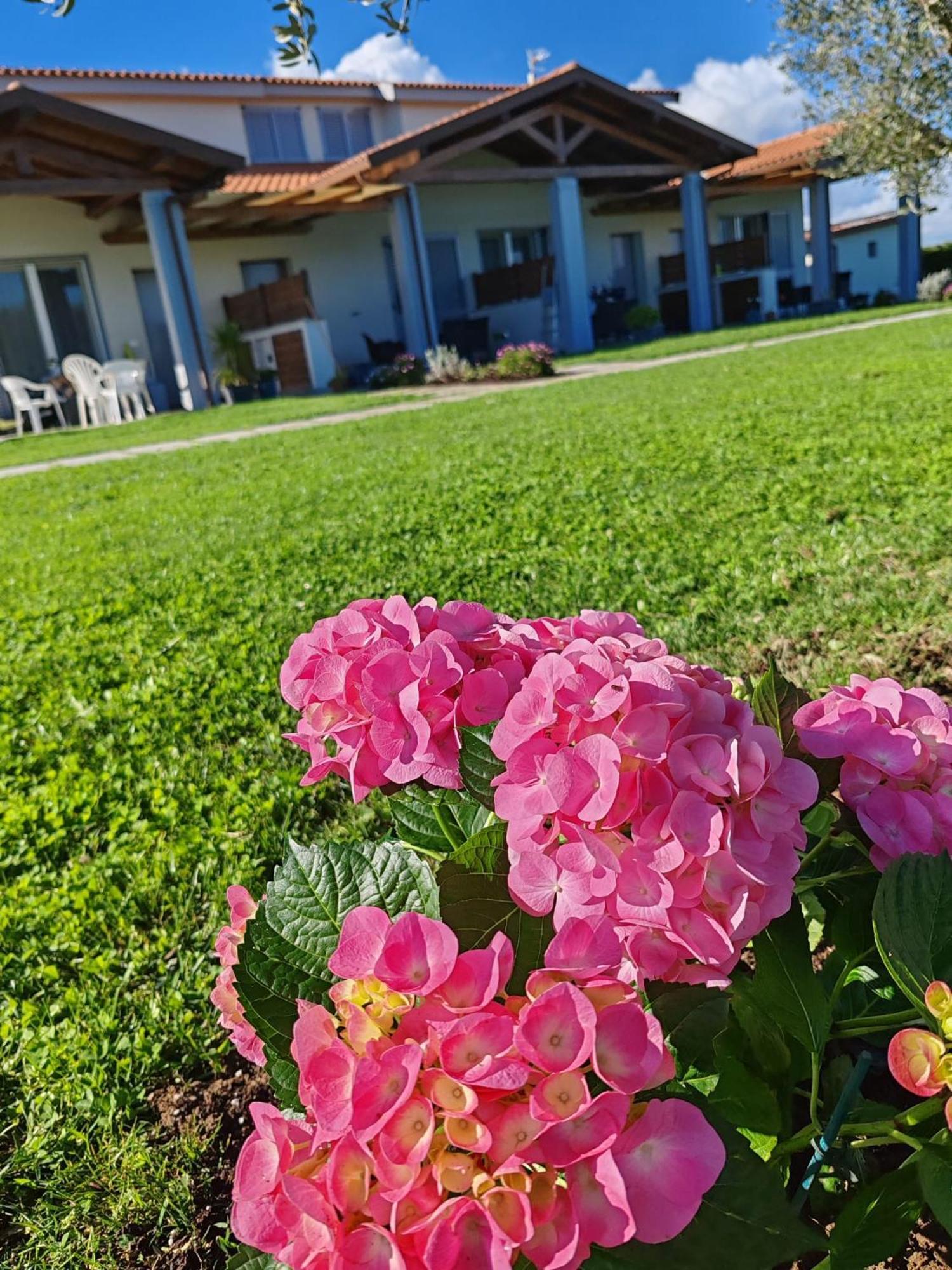 Residence La Pace - Pool & Relax マリーナ・ディ・グロッセート エクステリア 写真